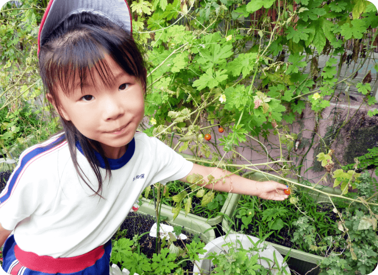 園内紹介｜認定こども園 昭和保育園